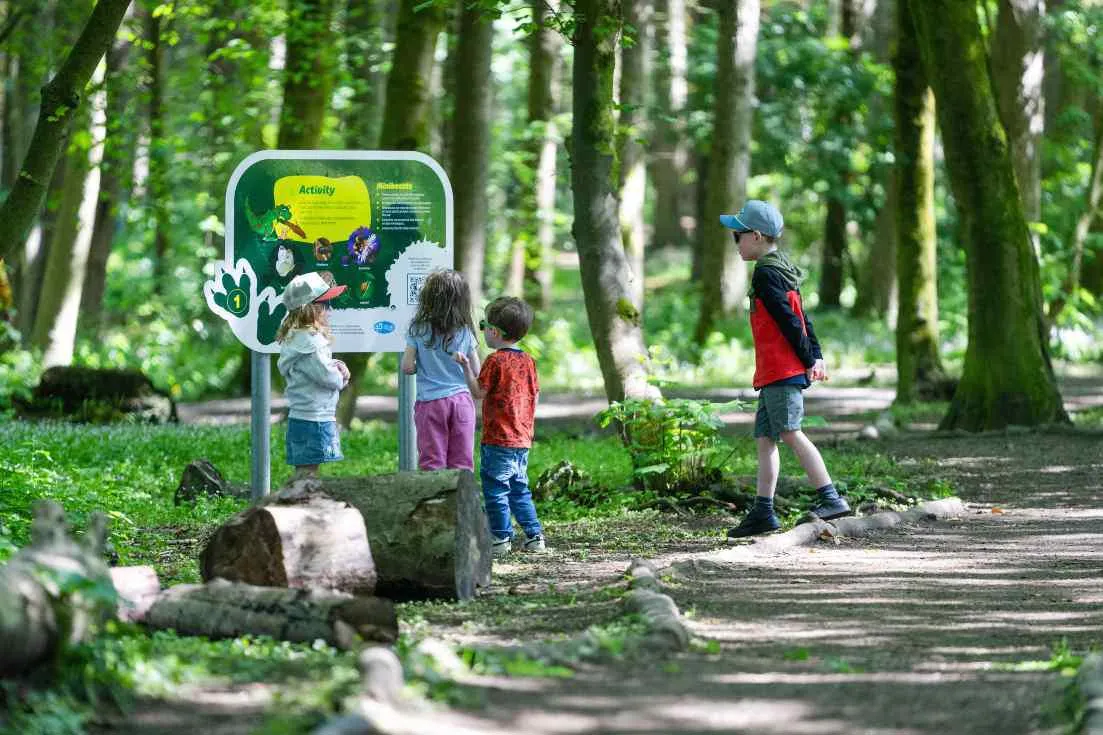 Four children look at activity board on a woodland trail