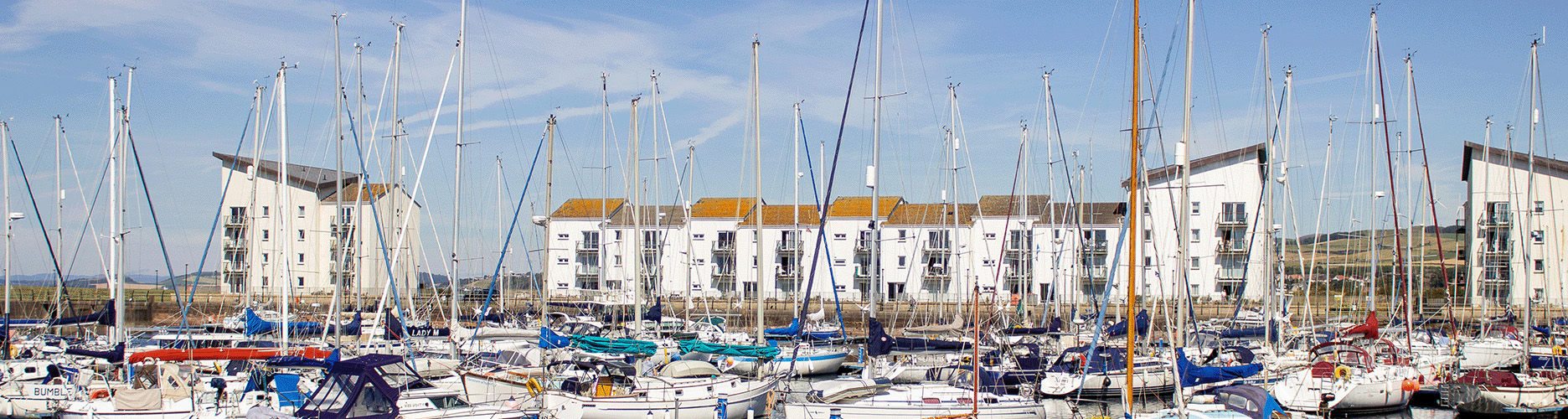 Many boats in a harbour with tall buildings in the background